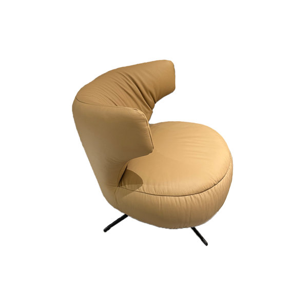 Huanxin Lighting Dermis Simplicity Leisure Chair Wayfair